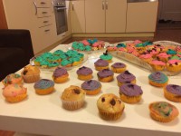 /album/fotogalerie-o-nas/a071-jpg/