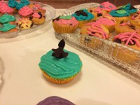 /album/fotogalerie-o-nas/a075-jpg/